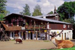 Gospodarstwo Agroturystyczne Skansen – Mini ZOO