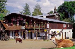 Gospodarstwo Agroturystyczne Skansen – Mini ZOO