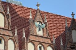 Twarda sztuka orzeł Twarda sztuka orzeł